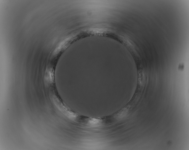 X0000111120718200907211050