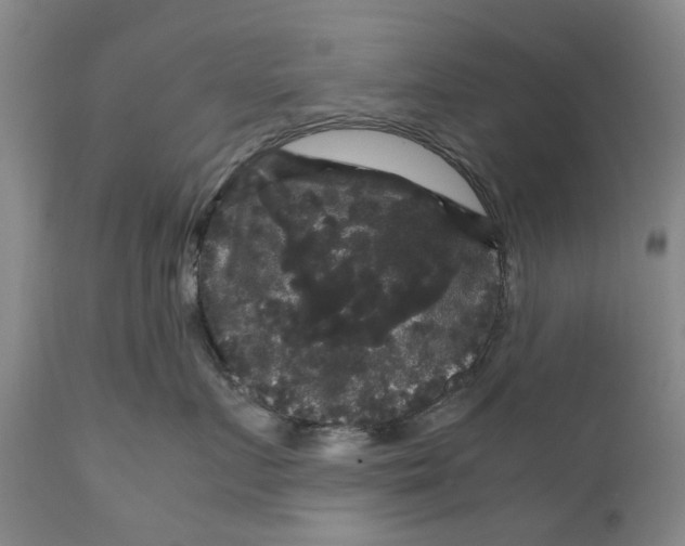 X0000111120719200907211050