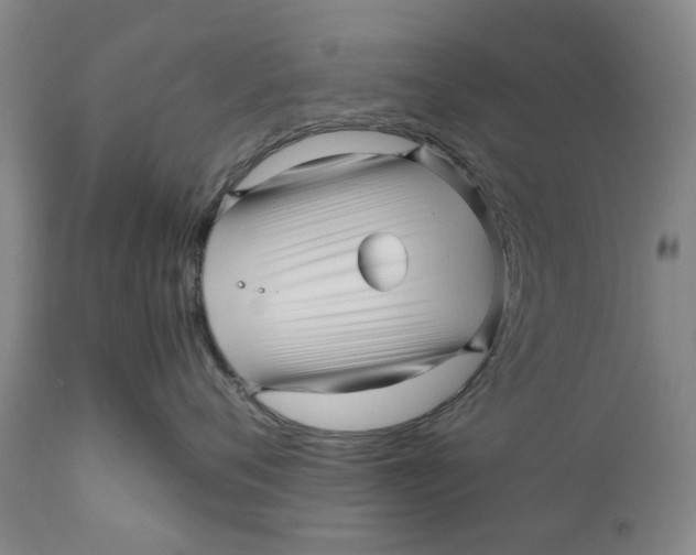 X0000111120720200907211050