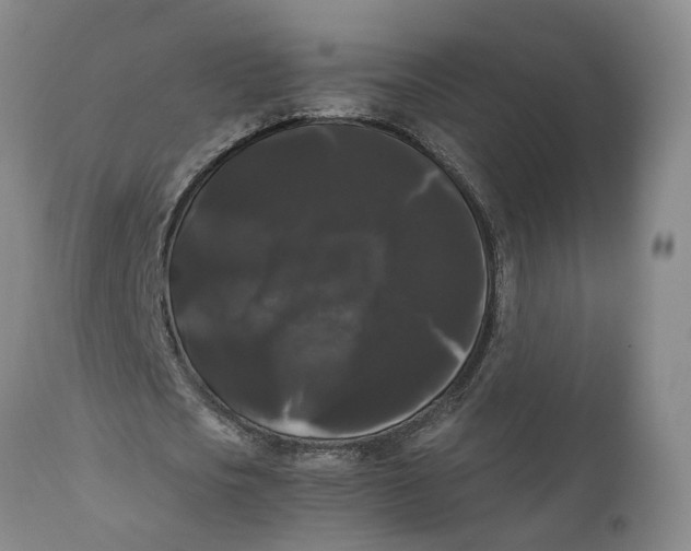 X0000111120721200907211049