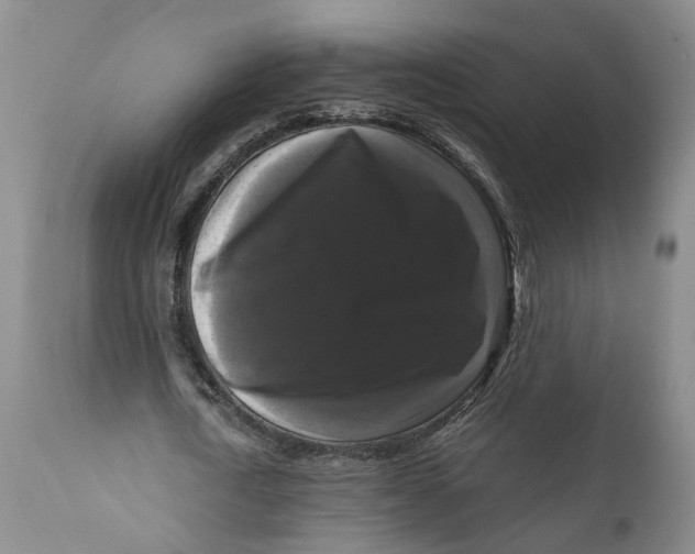 X0000111120722200907211049