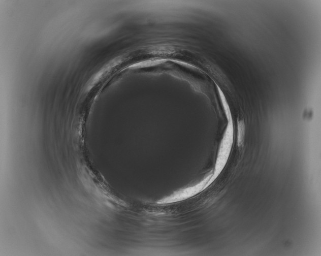 X0000111120723200907211049