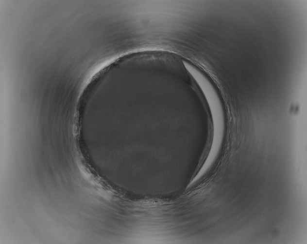 X0000111120724200907211049