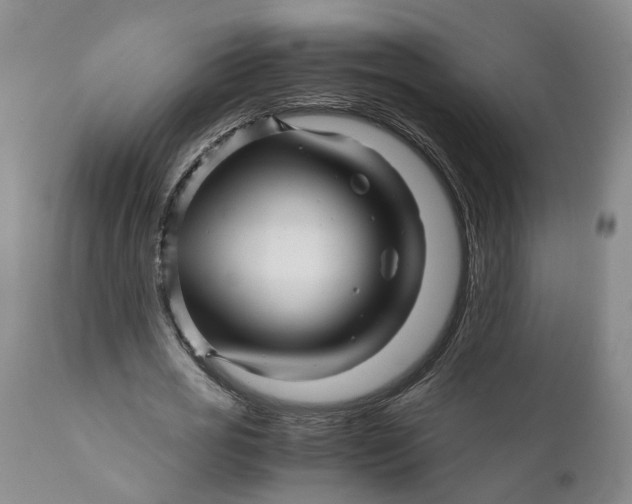 X0000111120725200907211049