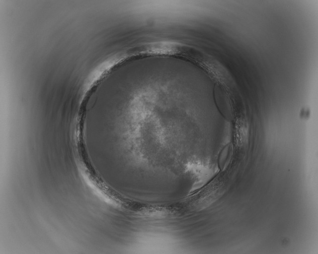 X0000111120726200907211049