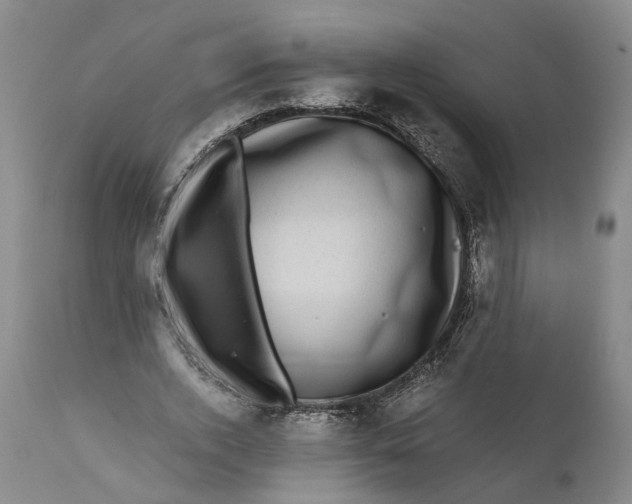 X0000111120728200907211049