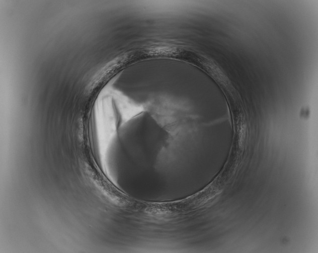 X0000111120729200907211049