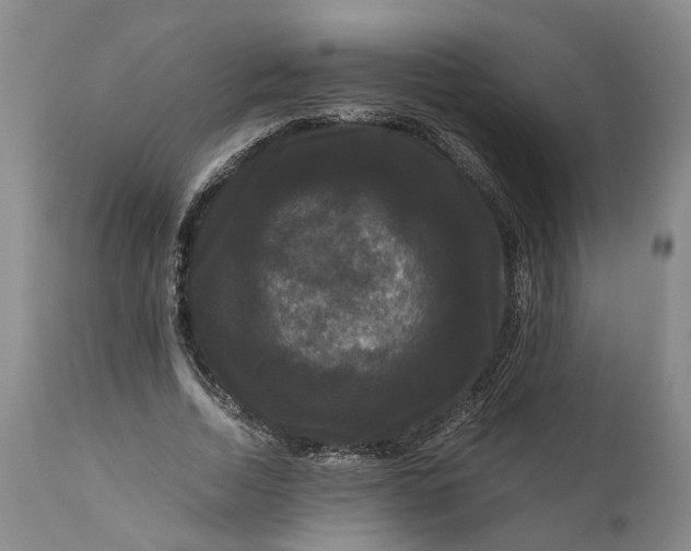 X0000111120730200907211049