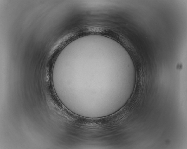 X0000111120731200907211049