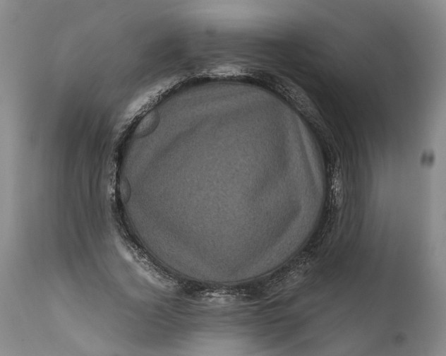 X0000111120732200907211049