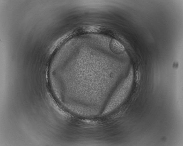 X0000111120733200907211049