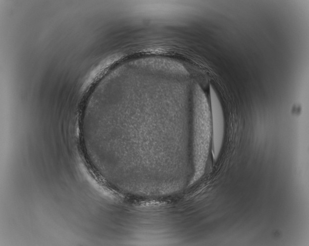 X0000111120734200907211049