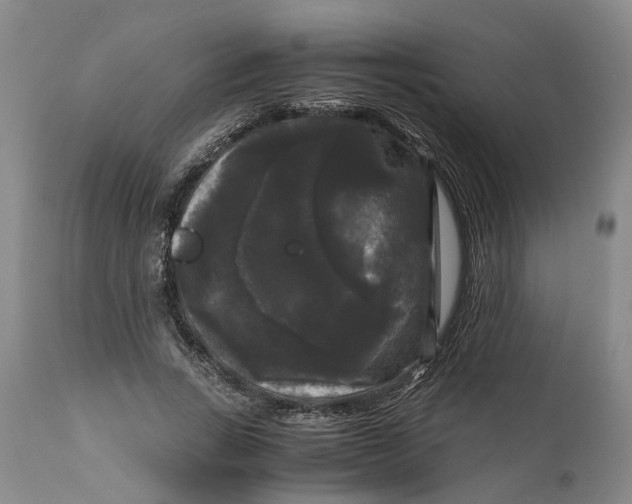 X0000111120735200907211049