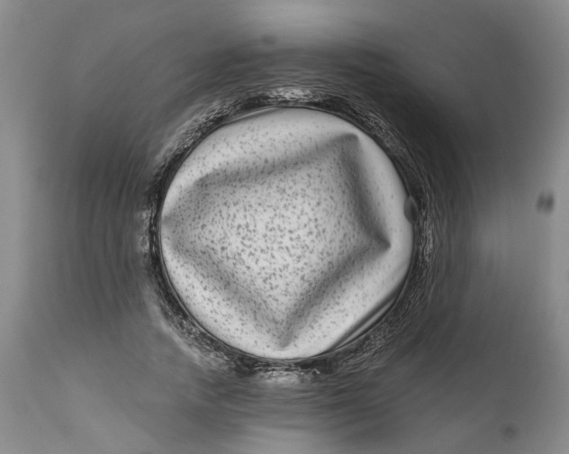 X0000111120738200907211049