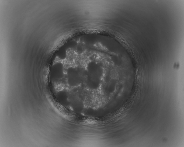 X0000111120742200907211050