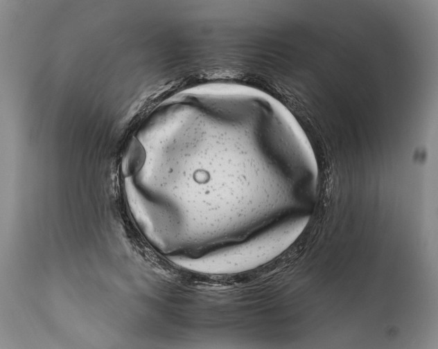 X0000111120743200907211050