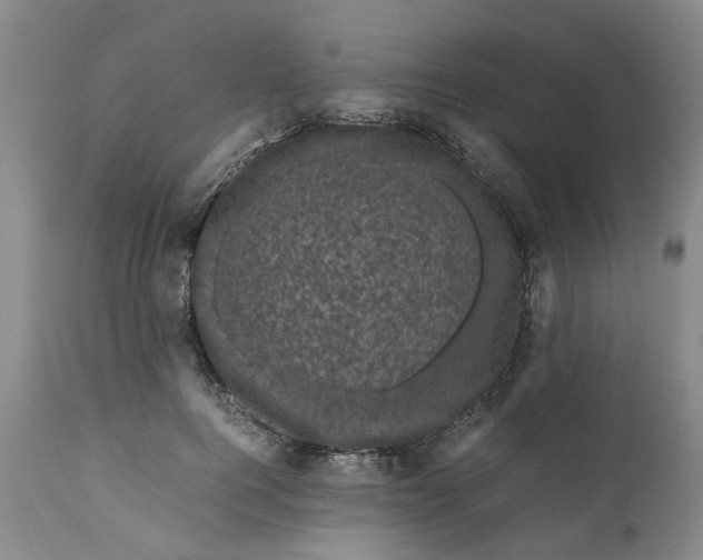 X0000111120744200907211050