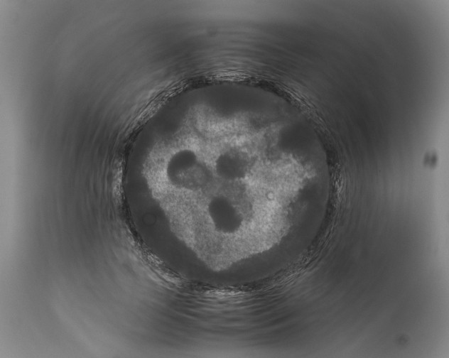 X0000111120745200907211050