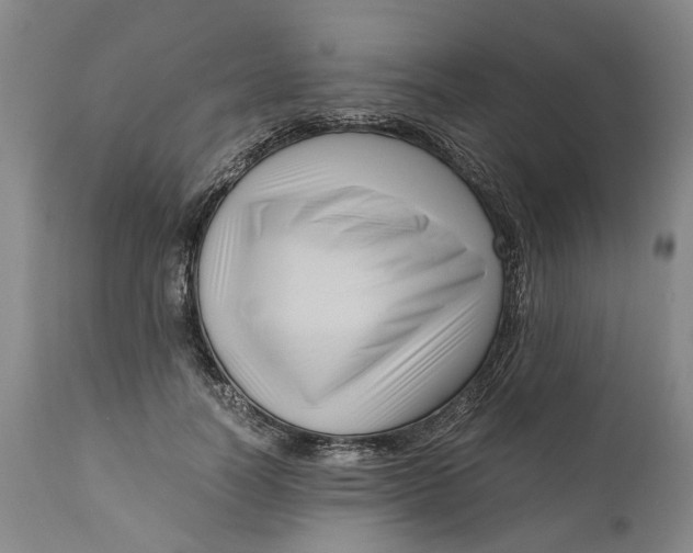 X0000111120746200907211050