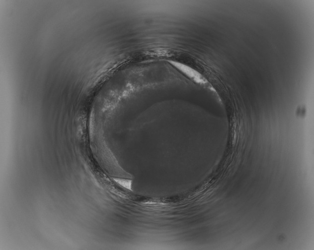 X0000111120747200907211050