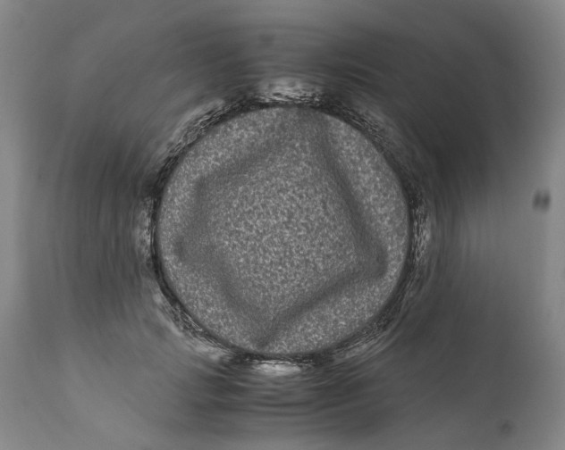 X0000111120749200907211050