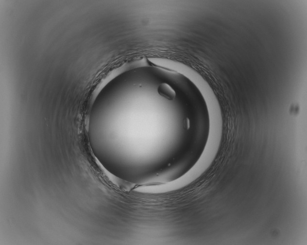 X0000111120750200907211050