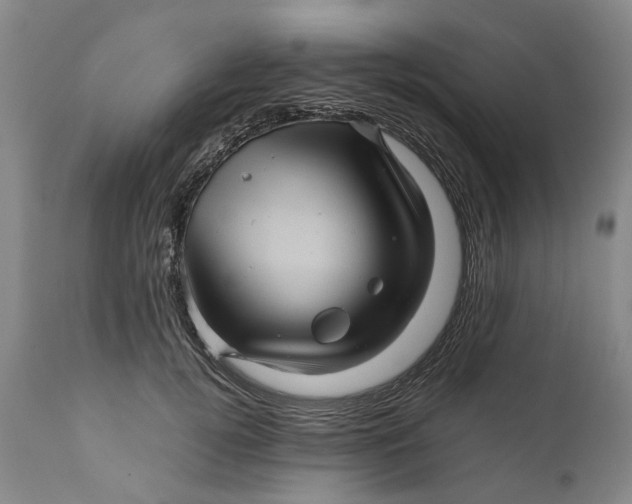 X0000111120752200907211050