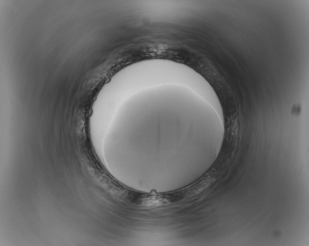 X0000111120754200907211050