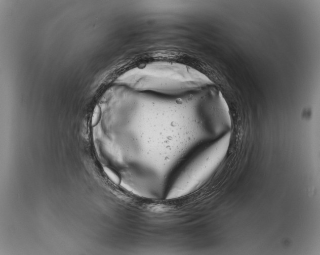 X0000111120755200907211050