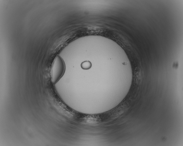 X0000111120756200907211050