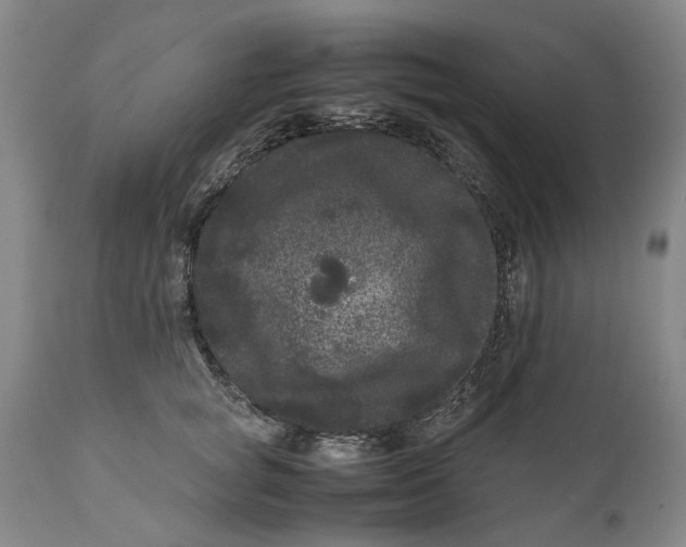 X0000111120757200907211050