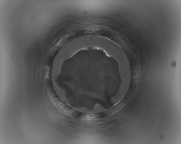 X0000111120758200907211050