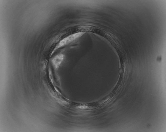 X0000111120759200907211050