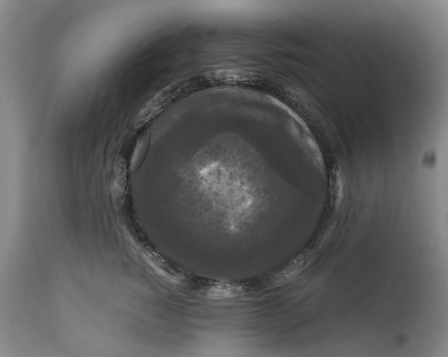 X0000111120760200907211050