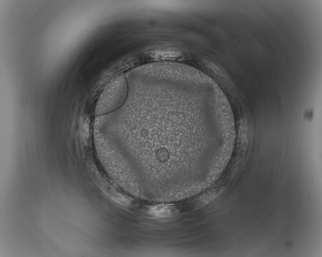 X0000111120761200907211050