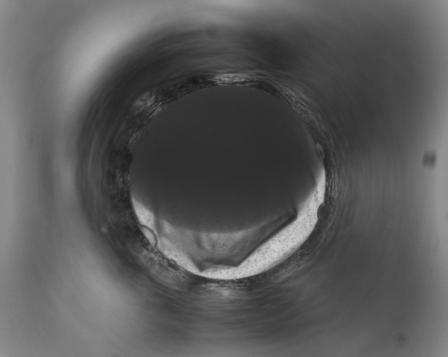 X0000111120763200907211050
