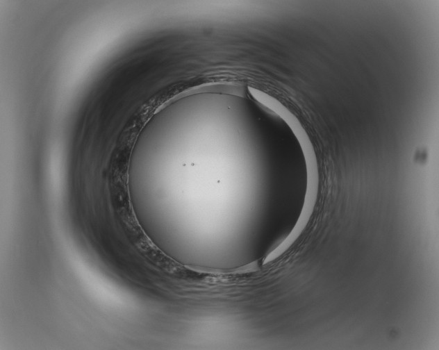 X0000111120764200907211050