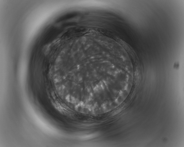 X0000111120765200907211050