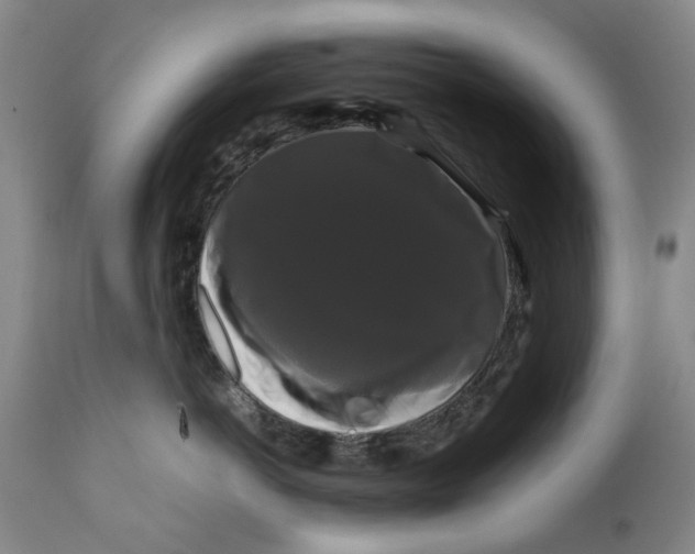 X0000111120766200907211050