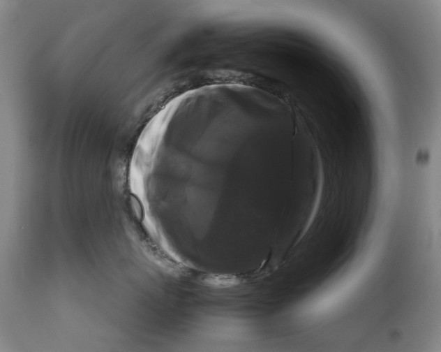 X0000111120767200907211050