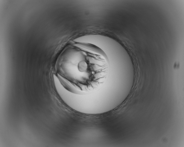 X0000111120768200907211050