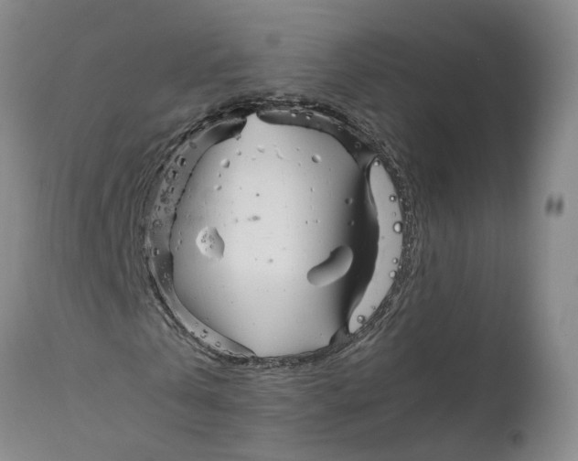 X0000111120769200907211049