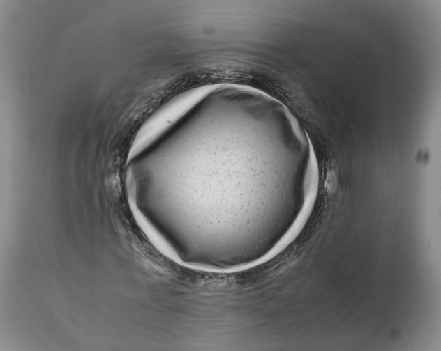 X0000111120771200907211049