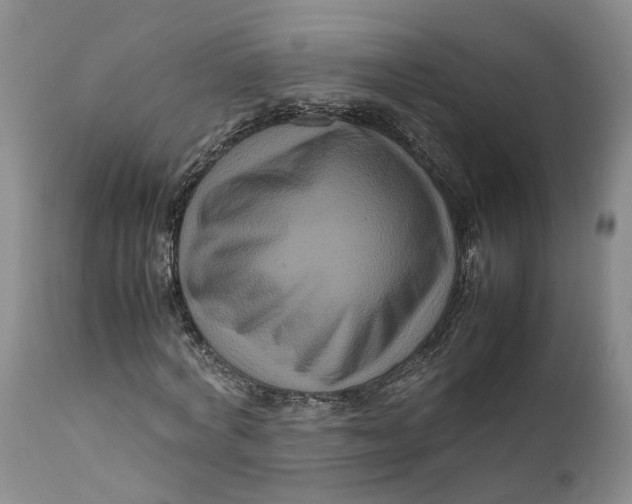 X0000111120772200907211049