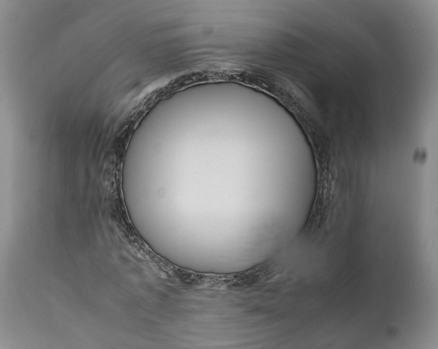 X0000111120773200907211049