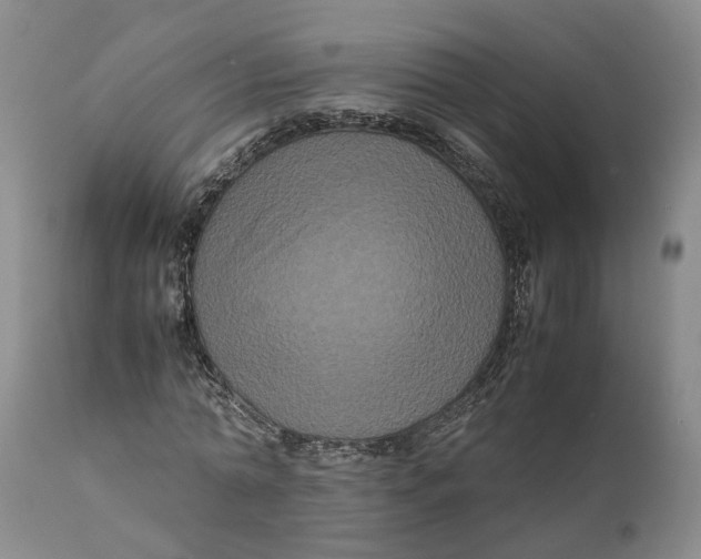 X0000111120774200907211049