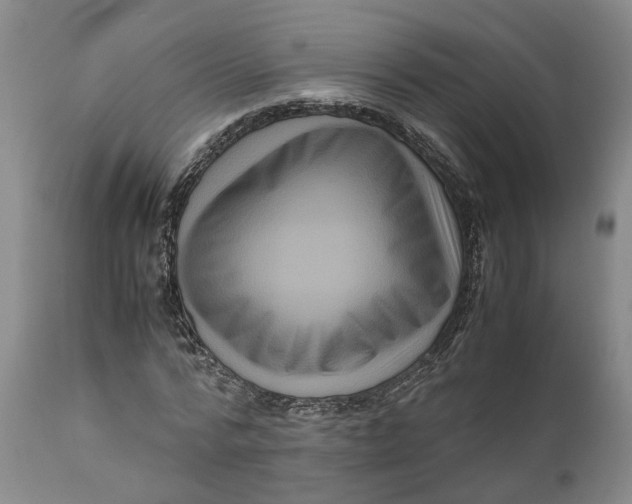 X0000111120776200907211049