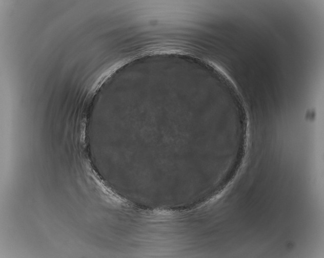 X0000111120777200907211049