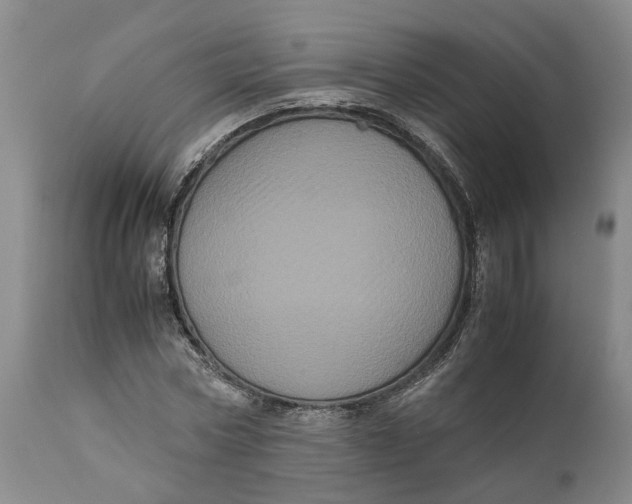 X0000111120778200907211049