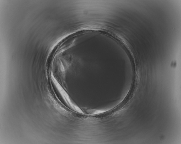 X0000111120779200907211049